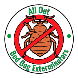 All Out Exterminating Bed Bug Exterminators Queens